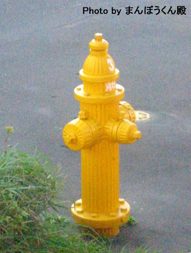 b0038588_2163378.jpg