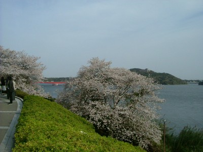 e0010293_1985052.jpg