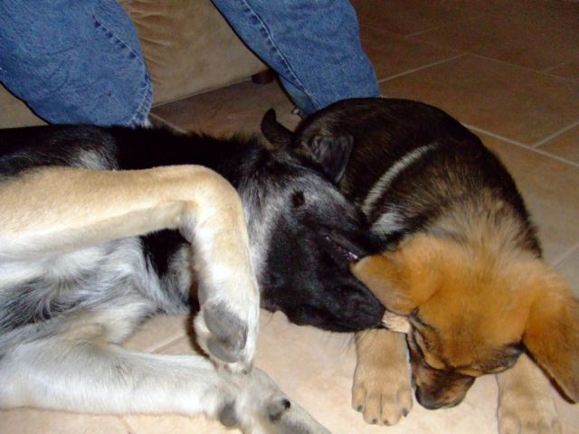 c0062603_10335487.jpg