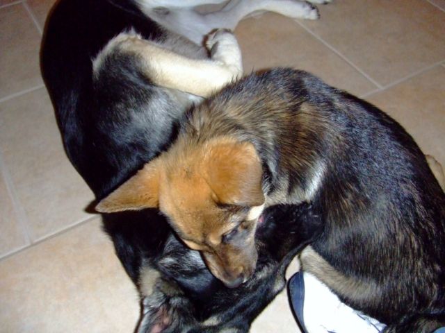 c0062603_10341372.jpg