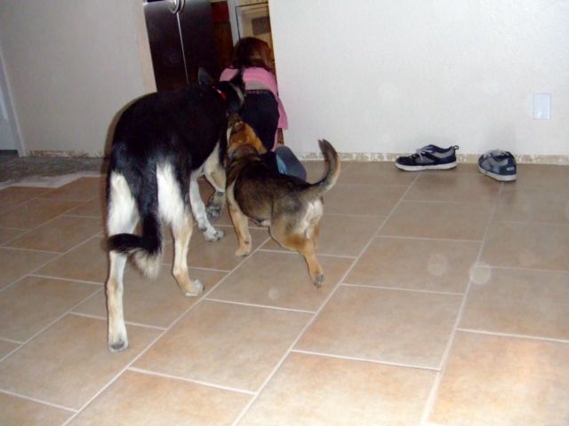 c0062603_1036146.jpg