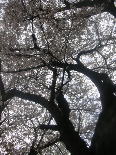 a0021608_28341.jpg