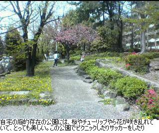 b0059410_2010384.jpg