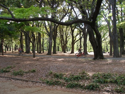e0083212_1755468.jpg