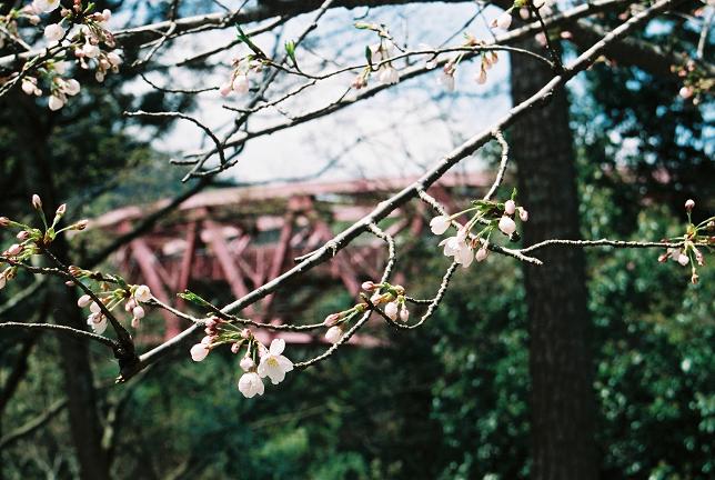 f0038012_22344154.jpg