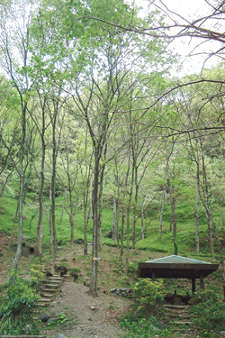 f0060424_18172382.jpg
