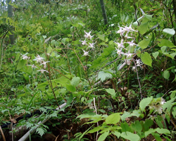 f0060424_18312769.jpg