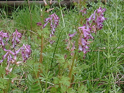 f0060424_18394773.jpg