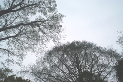 f0060424_18435738.jpg