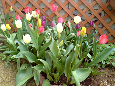 c0022231_22163031.jpg