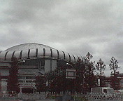 c0046340_10563616.jpg