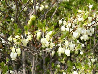 c0069048_7163060.jpg