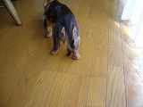 f0056250_16261638.jpg