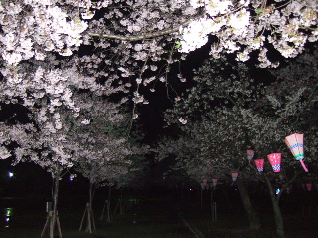 e0088654_2393234.jpg