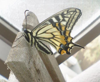 b0009665_0241559.jpg