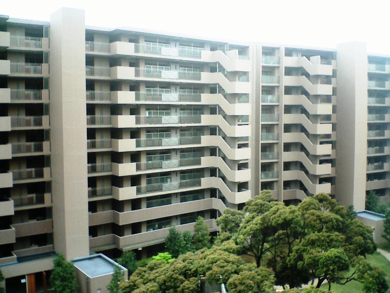 b0009665_1124791.jpg