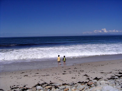 a0063472_819418.jpg