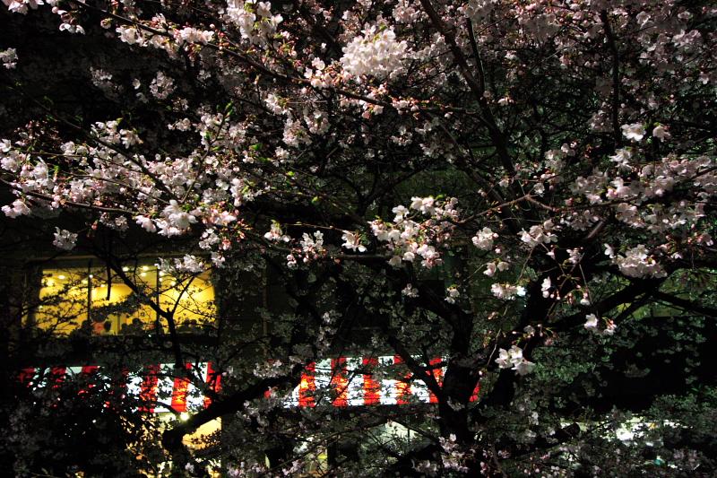 c0030874_703571.jpg