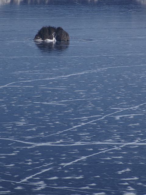 d0037282_114465.jpg