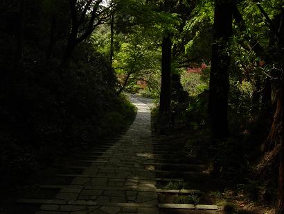 e0081284_21224391.jpg