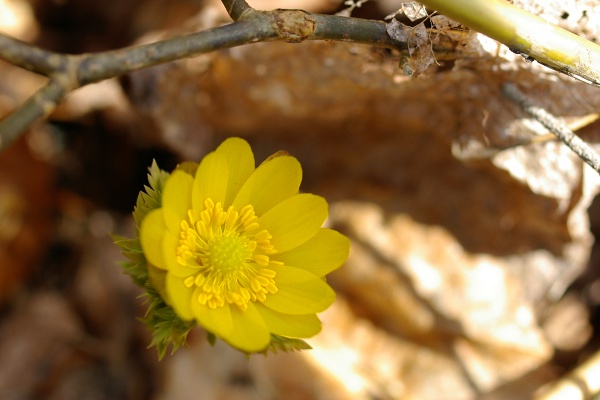 e0051186_22575039.jpg