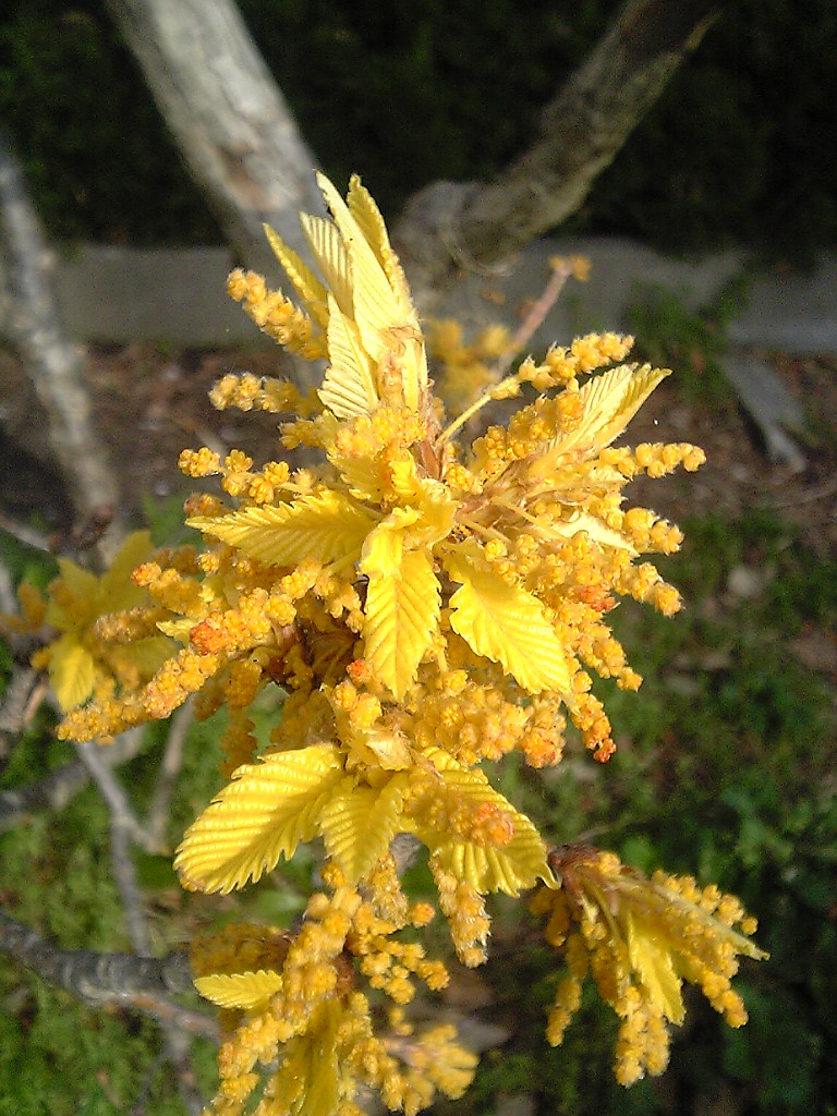 d0054692_81694.jpg
