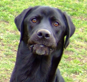 f0001698_0105077.jpg