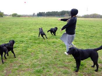 f0001698_013199.jpg