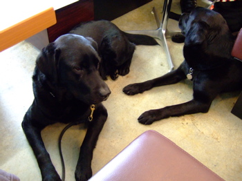 f0001698_065938.jpg