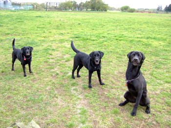 f0001698_095572.jpg