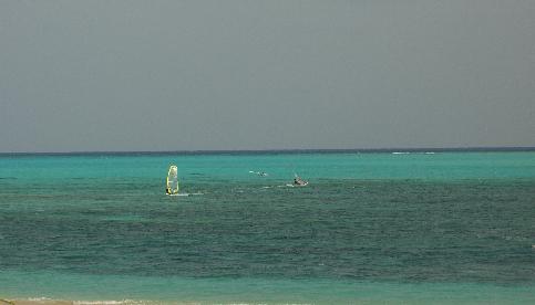 e0077899_652696.jpg