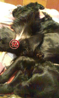 c0050400_042150.jpg