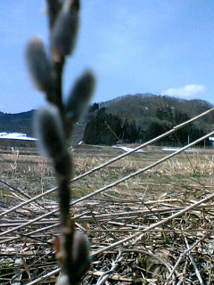 a0028803_231398.jpg
