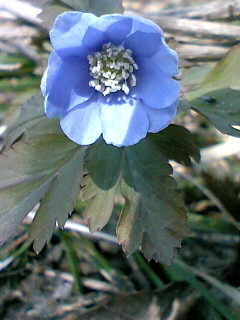a0028803_2323139.jpg