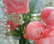 e0040804_2114159.jpg
