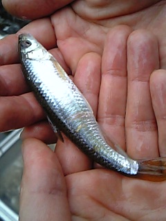 f0034007_23262059.jpg
