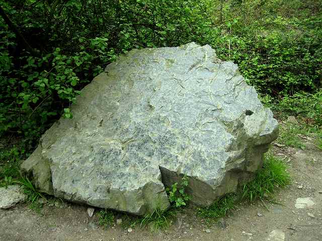 b0064411_22154610.jpg
