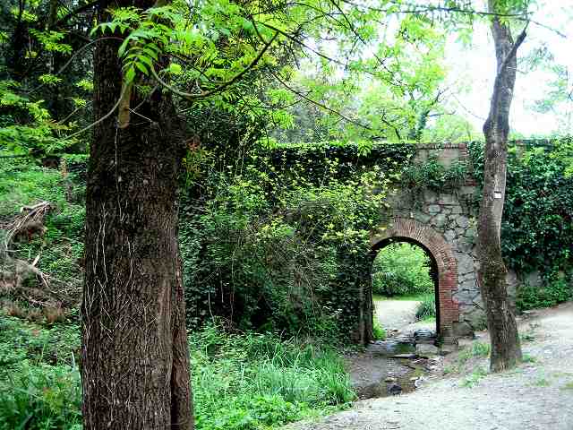 b0064411_22181813.jpg