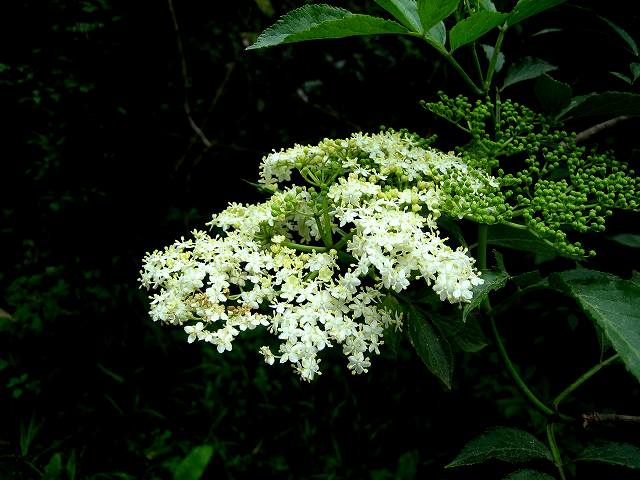 b0064411_222166.jpg