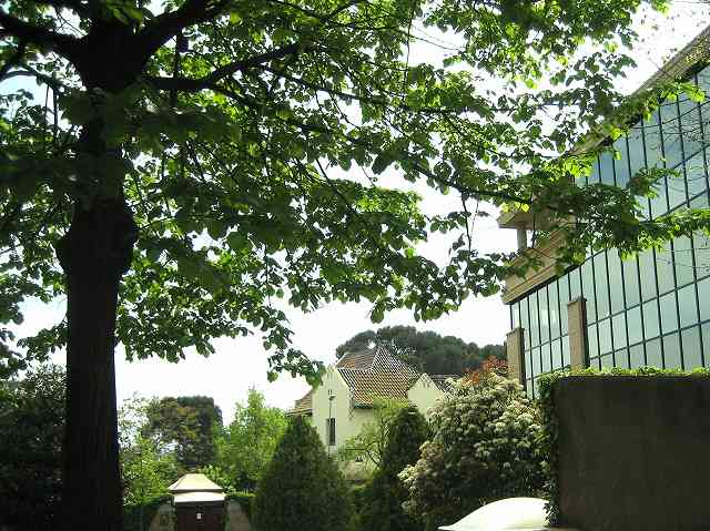 b0064411_6201111.jpg