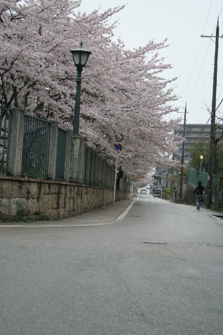 b0018112_1821514.jpg
