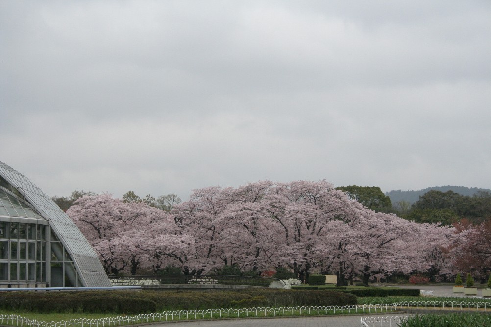 b0018112_18324553.jpg