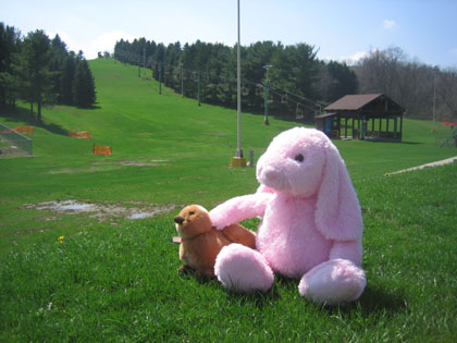 e0070916_2321944.jpg