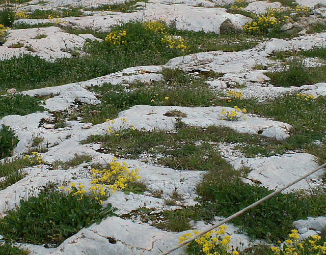c0051718_0555538.jpg