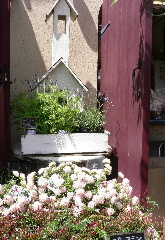 c0047221_20575413.jpg