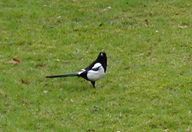 a0055525_1442433.jpg