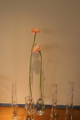 f0045630_14215745.jpg