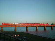 b0029438_23542796.jpg