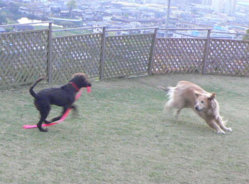 c0040240_1847075.jpg