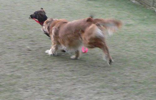 c0040240_18471788.jpg
